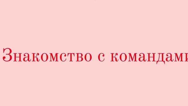 Лучший руководитель школьного спортивного клуба