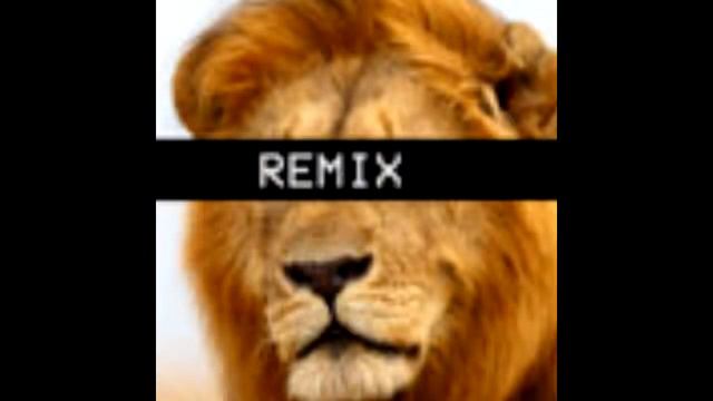 DJ Nil, X-Mode - Animals (userwithroot Remix) (cut)