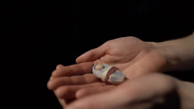 «Звезда по пути в Вифлеем» (трейлер)