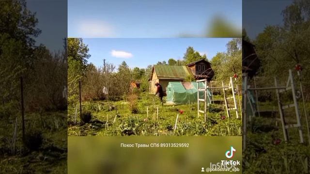 Покос 52 Травы СПб 89313529592