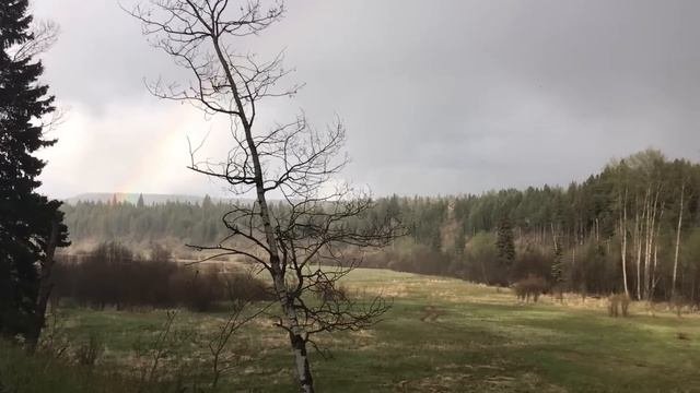New 2023 Cryptozoology Documentary Giant Owls in Canada?