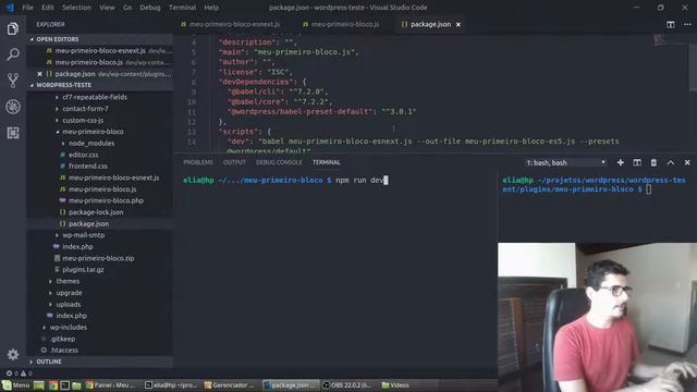 NPM (Parte 2), Babel e o preset do WordPress