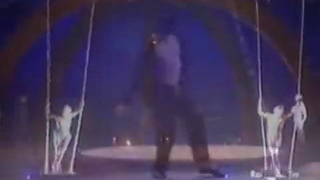 Michael Jackson - Circo Soleil - ALEGRIA.wmv