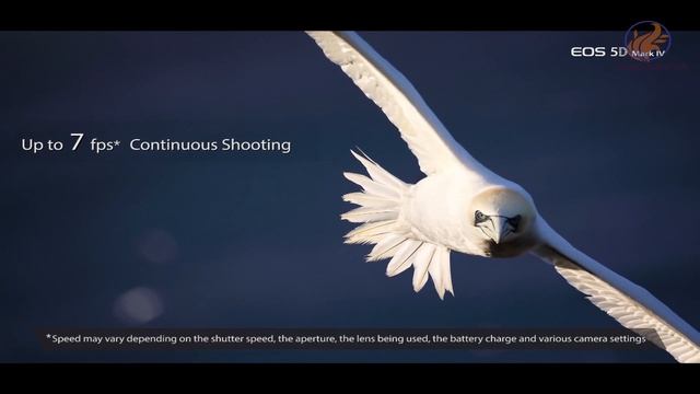 CANON 5D Mark IV  Walkthrough(4k video)