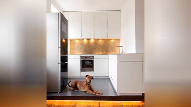 75 Linoleum Floor Kitchen With Metallic Backsplash Design Ideas You'll Love ?