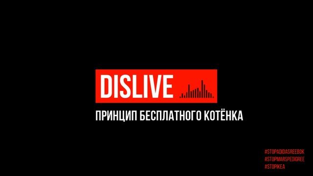 Принцип бесплатного котёнка dislive