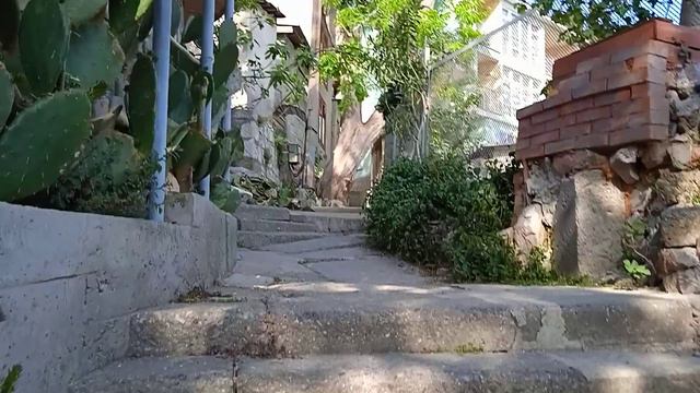 Гурзуф, кот на ул. Чехова.