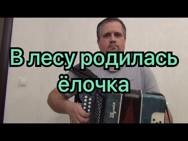 В лесу родилась ёлочка // разбор на гармони