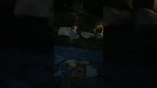 Поляна сказок , клумба своими руками