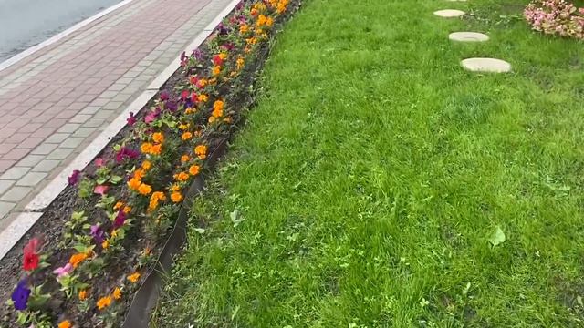 #СУРГУТ МЕДВЕДЬ, ЕЖИК И БЕЛКА В ЦЕНТРЕ ГОРОДА/ ЦВЕТОЧНЫЙ ОАЗИС #кедровыйлог #парк #vlog  #surgut