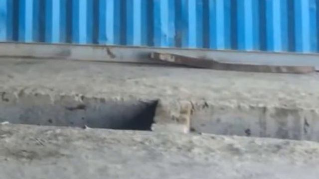 ОГМ  Улучшение безопасности смотровой ямы