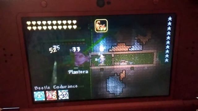 Terraria 3ds How to  AFK Farm Plantera (How To Also Farm the Plantera Bulbs)