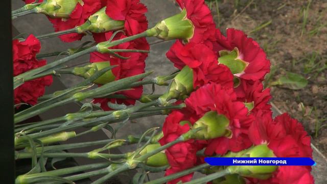 Аллея памяти в честь сотрудников СК РФ, погибших на СВО, открылась в Нижнем Новгороде