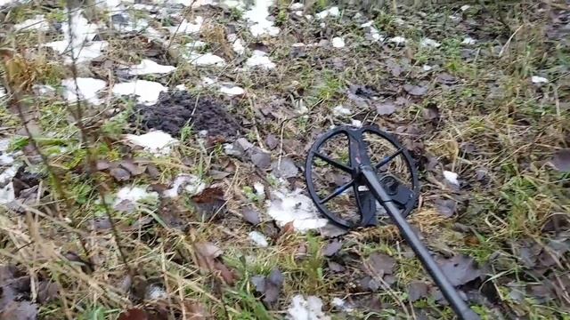 Первое серебро.Сокровища январской оттепели.Сезон уже в разгаре