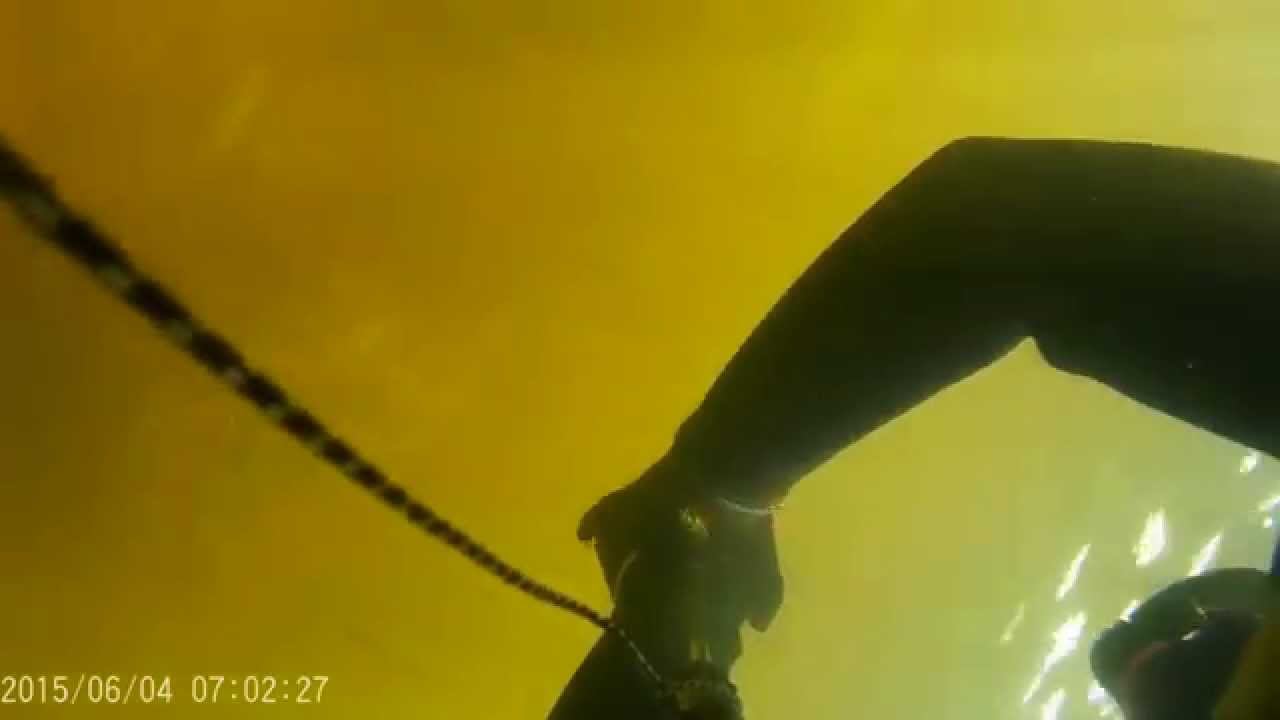 Подводная Охота 2015 "На Леща, Щука не подпускает на выстрел" Spearfishing 2015