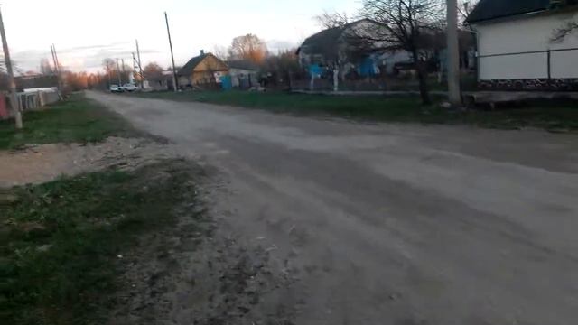 Жизнь в деревне. Цикл серий. Лабрадоры. История из жизни 2 часть.
