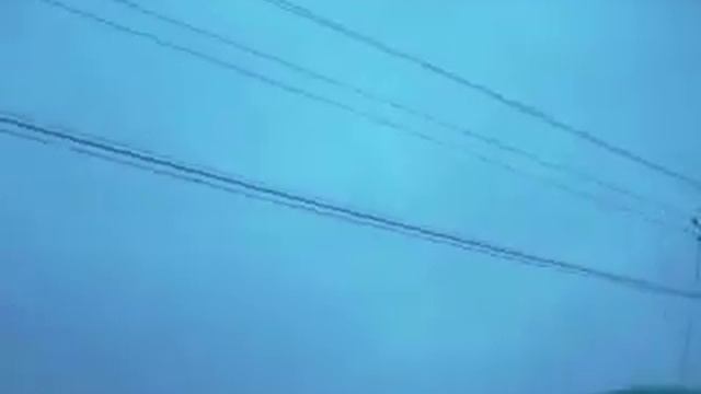 Как надо проводить свободное время ; ) Я и Sakura Sweg