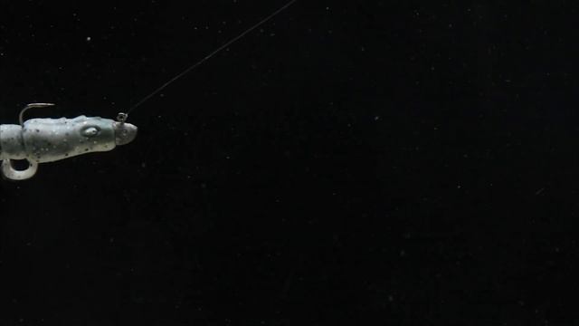 Berkley Gulp! Turbo Shrimp | Watch It Swim