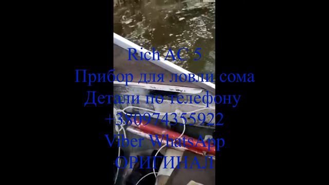 Прибор Rich AC 5 в деле  Ловля сома ПОВТОР