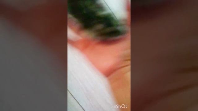 хомяк