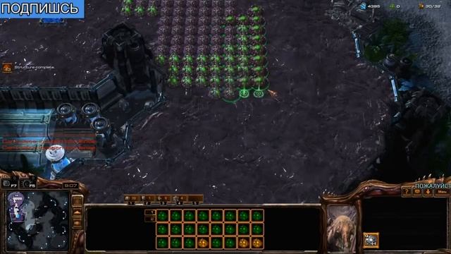 24 часа - тяну крип [StarCraft 2]
