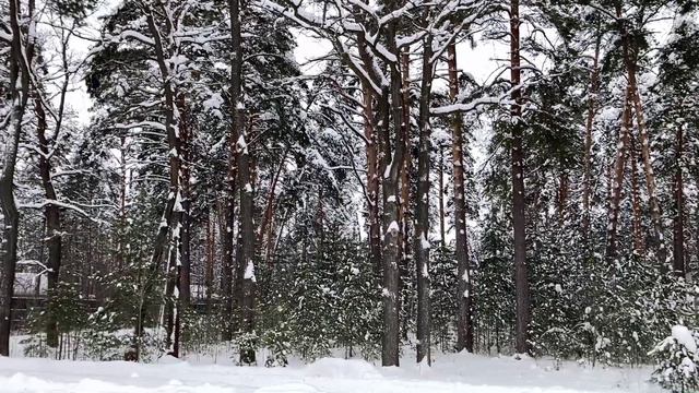 04.01.2022-КолокшАнский истукан