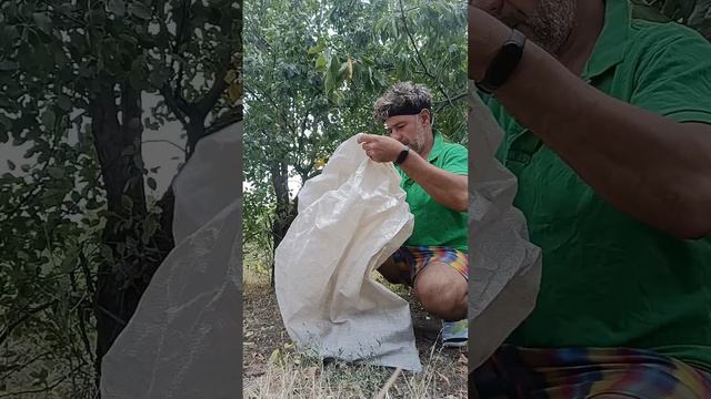 УПУСТИЛ ФАЗАНА