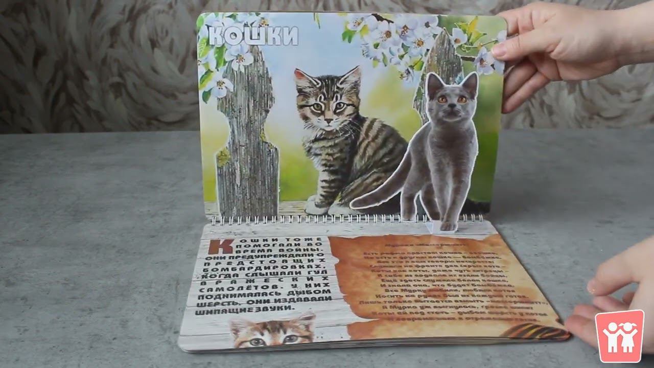 3D Альбом "Животные на войне"