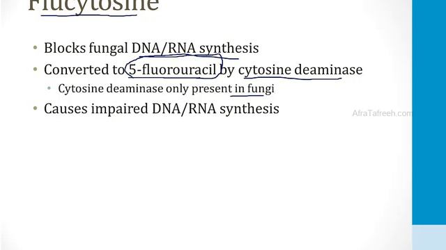 Infectious Diseases - 4. Fungi - 4.Antifungal Drugs atf