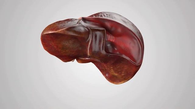 A Silent Warning: 6 Signs That Could Indicate Fatty Liver Disease