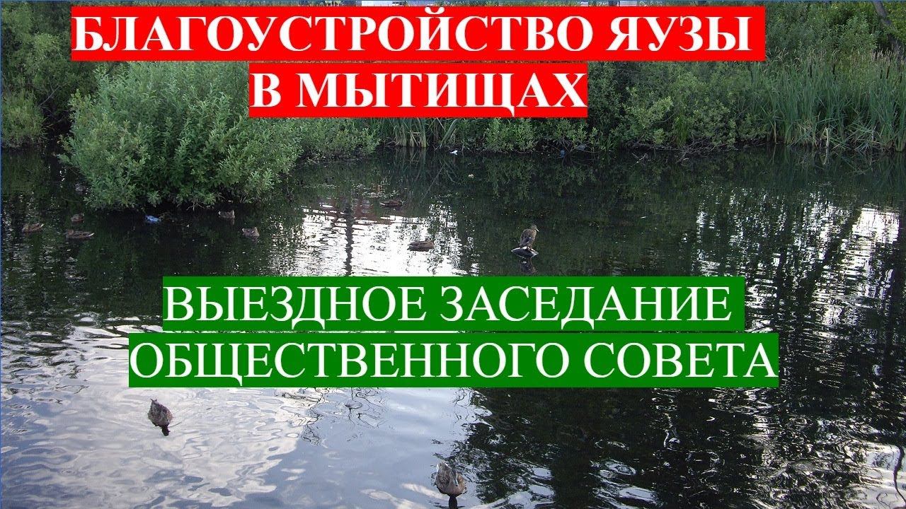 Благоустройство Яузы в Мытищах Выездное заседание Общественного совета с участием Администрации