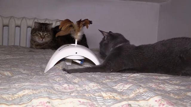GIGWI Pet Droid Feather Spinner interaktywna zabawka dla kota