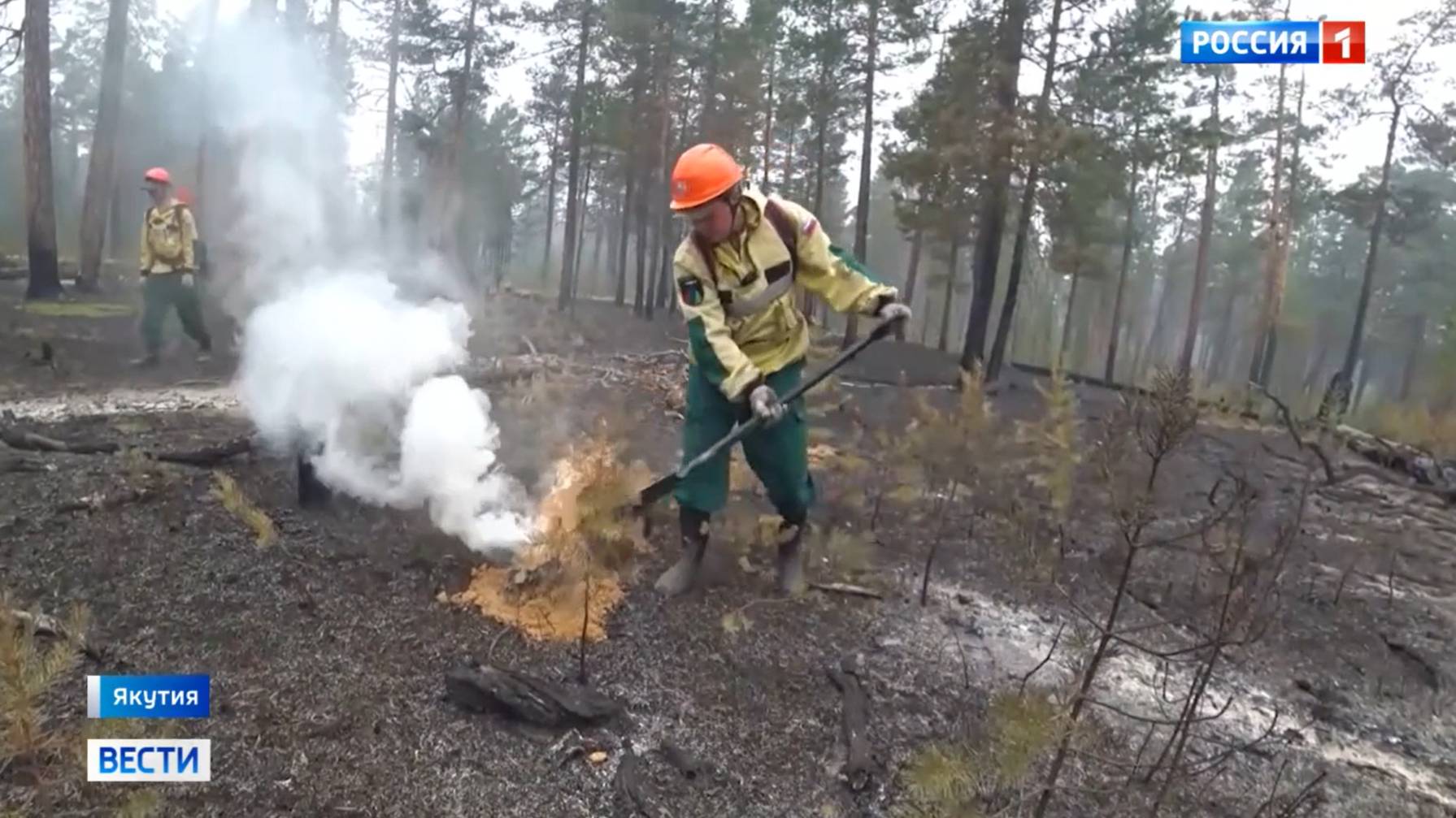 Россия 1 # Вести_В Якутии снова выросло число лесных пожаров