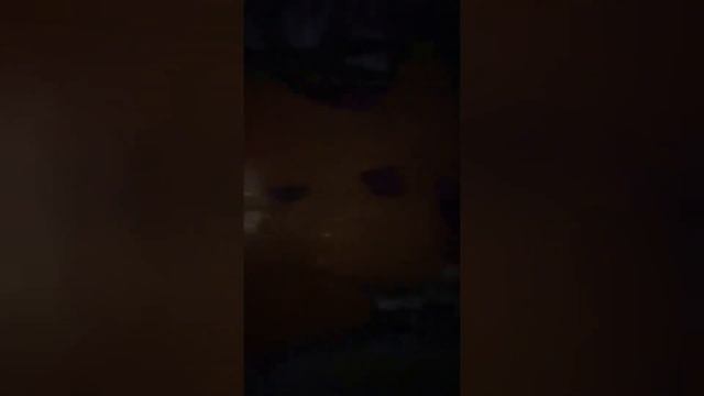 первое видео где я делаю кусок 😑