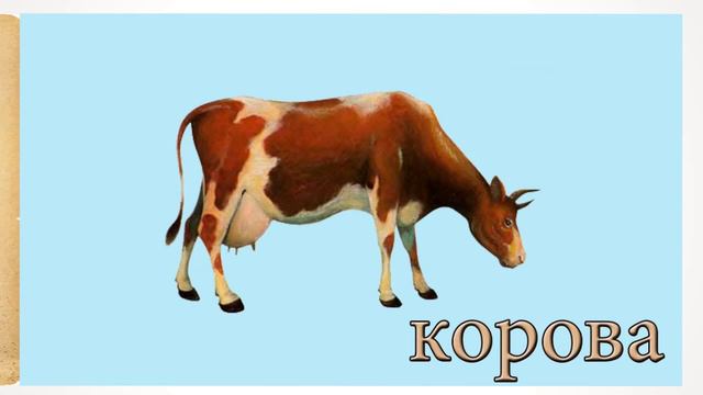 Учим животных - тематические карточки для  изучения животных