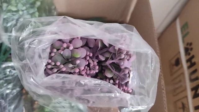 Распаковка зелени с сайта Мыльная вечеринка