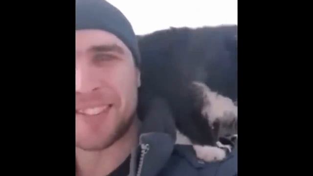 Коты и Кошки Зимой. Снегу все радуются по разному. Смешные кошки. Приколы с котами