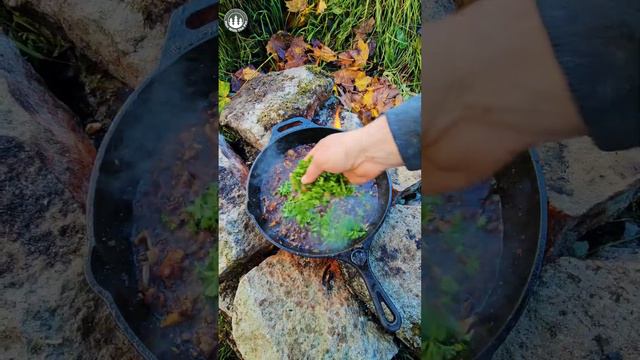 Grilled Cheese Sandwich 🔥 wait for the pull 😎#shorts #asmr #food #cooking #nature #cheese #crunchy