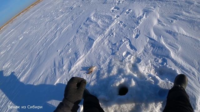 Говорят хапуги хапают, вот удочка реально ловит!.mp4
