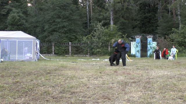 ДР 2013, собака-телохранитель 1 нападающий, 1 участник