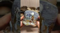 Succulents pots handmade D5.5cm*H7cm