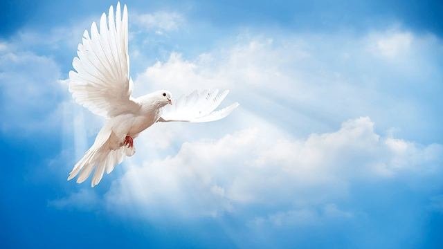 Виталий и Наталья Сколовы - Ладони Бога.