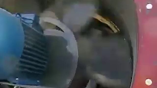 5 герц
