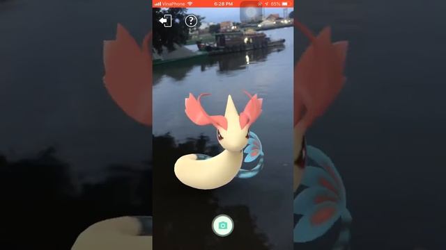 Milotic Pokemon in real life | Pokemon Go VietNam