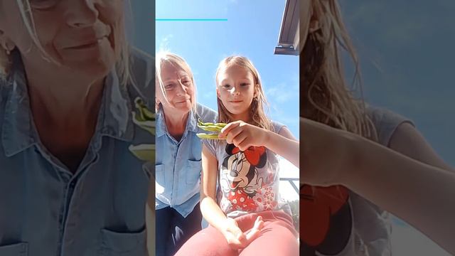 садовая магия 🪄