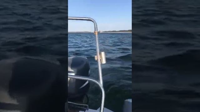 Хороший отзыв о покупке лодочного мотора Yamaha 60лс в Planet-watersport.ru