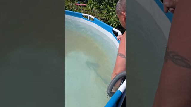 Как очистить дно бассейна от осадка
