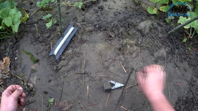 Рыбалка в День РОССИИ. Ловля на донки на Дону..mp4