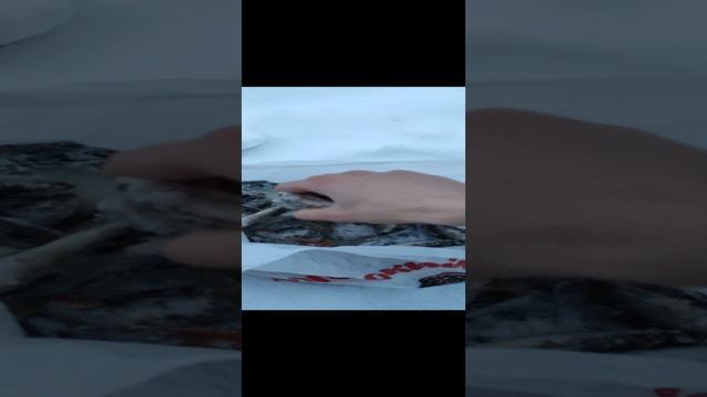 Знатная уха будет?