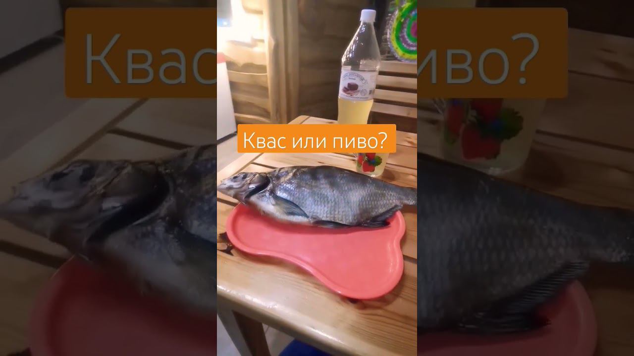 Квас или пиво? #баня #баняВолгоград